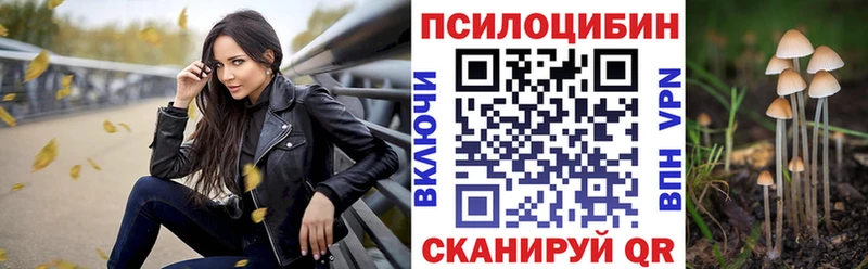 Галлюциногенные грибы GOLDEN TEACHER  MEGA зеркало  Новоалтайск 